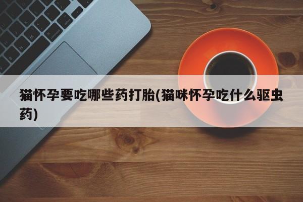 打胎药正品专卖微信猫怀孕要吃哪些药打胎(猫咪怀孕吃什么驱虫药)