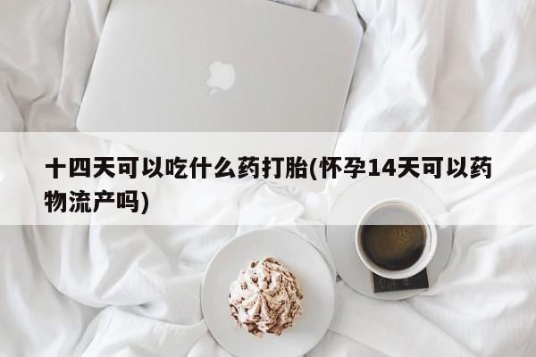 打胎药正品专卖微信十四天可以吃什么药打胎(怀孕14天可以药物流产吗)